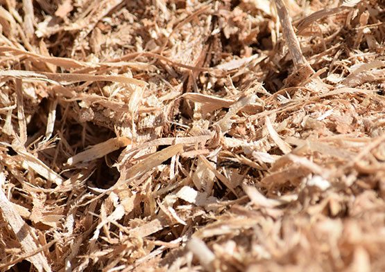 biomass-products