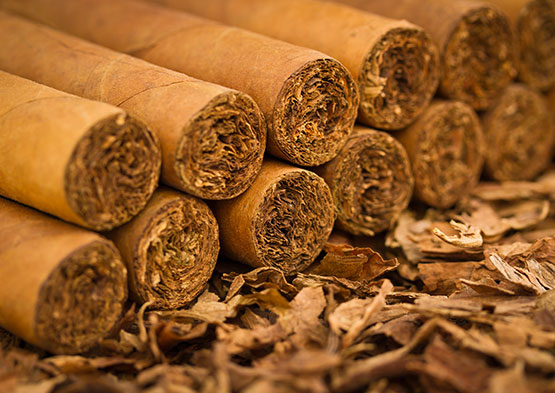 cigar-filler