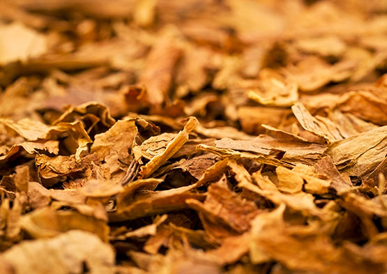 tobacco-scrap-add-back